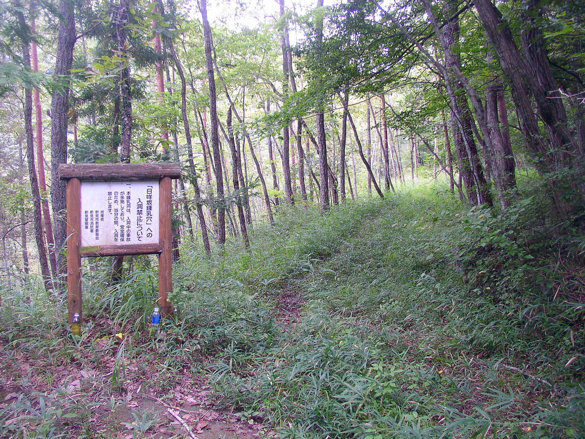 巨木の林の中 三尾寺 みおうじ 日咩坂 ひめさか 鐘乳穴 かなちあな 神社 日咩坂鐘乳穴 2 荒野をわたる風